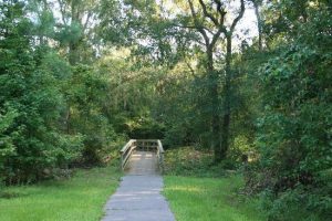 A photo of a trail at Camp Milton Historic Preserve